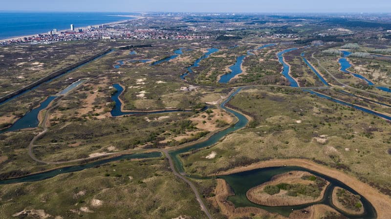 Duinen Zandvoort